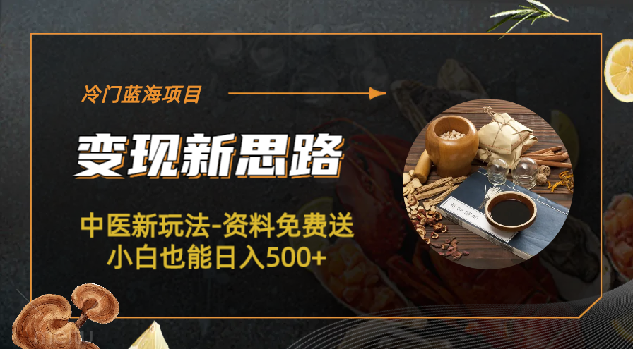 【副业项目6563期】冷门蓝海项目-中医新玩法-资料免费送小白也能日入500+-蓝图副业