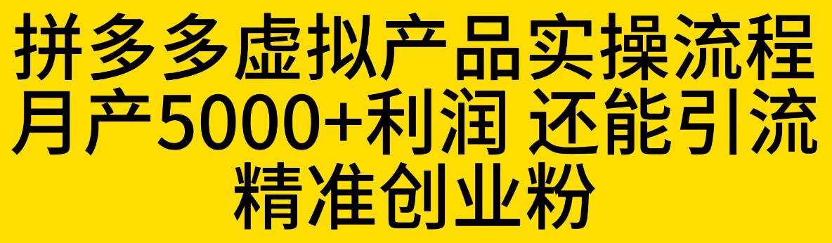 【副业项目6569期】拼多多虚拟产品实操流程，月产5000+利润，还能引流精准创业粉-蓝图副业