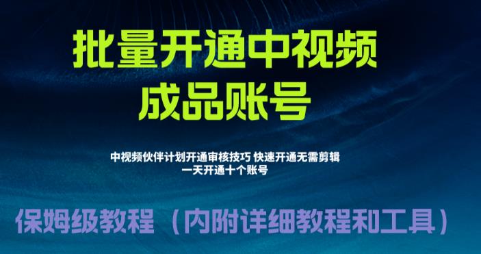 【副业项目6718期】外面收费1980暴力开通中视频计划教程，附 快速通过中视频伙伴计划的办法-蓝图副业