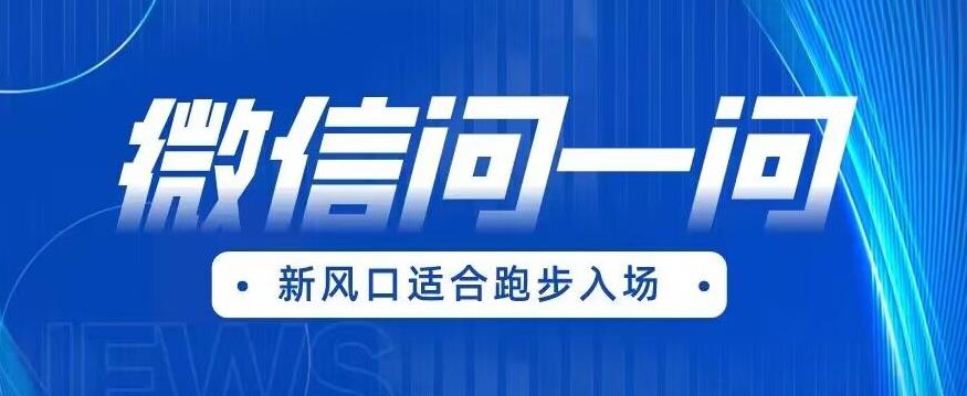 【副业项目6729期】全网首发微信问一问新风口变现项目（价值1999元）【揭秘】-蓝图副业