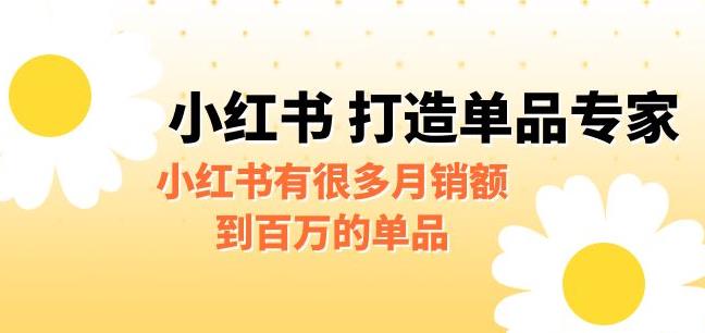 【副业项目6703期】某公众号付费文章《小红书打造单品专家》小红书有很多月销额到百万的单品-蓝图副业