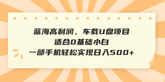 【副业项目6800期】蓝海高利润，车载U盘项目，适合0基础小白，一部手机轻松实现日入500+-蓝图副业