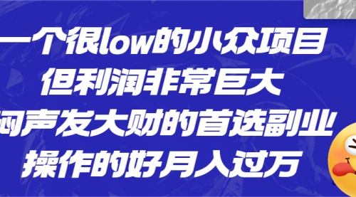 【副业项目6782期】一个很low的小众项目，但利润非常巨大，闷声发大财的首选副业，月入过万-蓝图副业