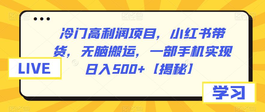 【副业项目6875期】冷门高利润项目，小红书带货，无脑搬运，一部手机实现日入500+【揭秘】-蓝图副业