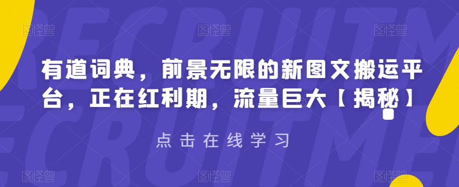 【副业项目6843期】有道词典，前景无限的新图文搬运平台，正在红利期，流量巨大【揭秘】-蓝图副业