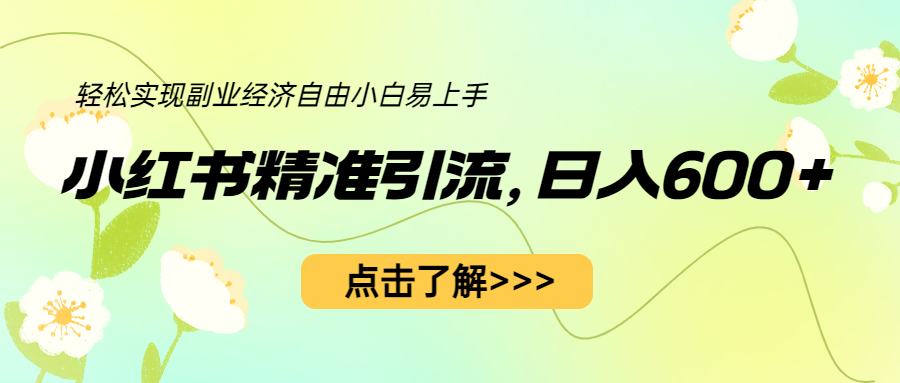 【副业项目6650期】小红书精准引流，小白日入600+，轻松实现副业经济自由（教程+1153G资源）-蓝图副业