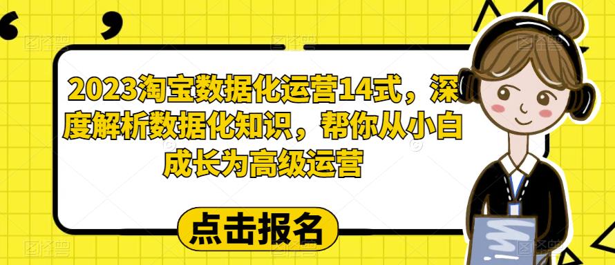 【副业项目6599期】2023淘宝数据化-运营 14式，深度解析数据化知识，帮你从小白成长为高级运营-蓝图副业
