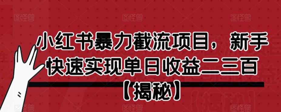 【副业项目6889期】小红书暴力截流项目，新手快速实现单日收益二三百【仅揭秘】-蓝图副业