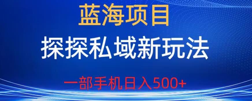 【副业项目6894期】蓝海项目，探探私域新玩法，一部手机日入500+很轻松【揭秘】-蓝图副业