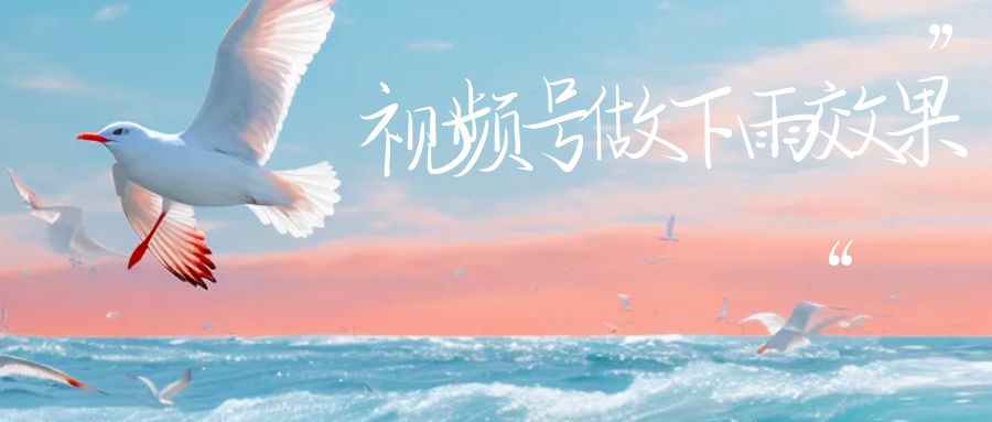 【副业项目6913期】视频号做下雨视频一个账号一周涨粉10W+年入100w-蓝图副业