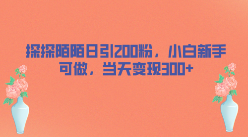【副业项目7026期】探探陌陌日引200粉，小白新手可做，当天就能变现300+-蓝图副业
