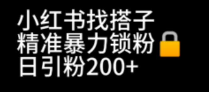 【副业项目7040期】小红书找搭子暴力精准锁粉+引流日引200+精准粉-蓝图副业