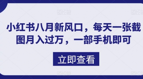 【副业项目7078期】八月新风口，小红书虚拟项目一天收入1000+-蓝图副业
