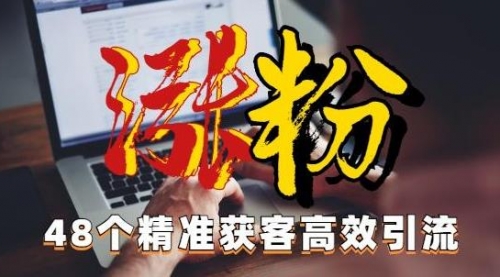 【副业项目7097期】独家分享48个引流绝技，再没粉丝只能怪自己了！-蓝图副业