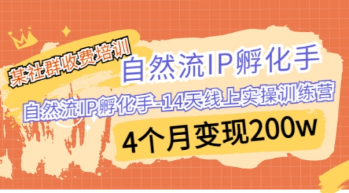 【副业项目7109期】自然流IP孵化手-14天线上实操训练营 4个月变现200w-蓝图副业
