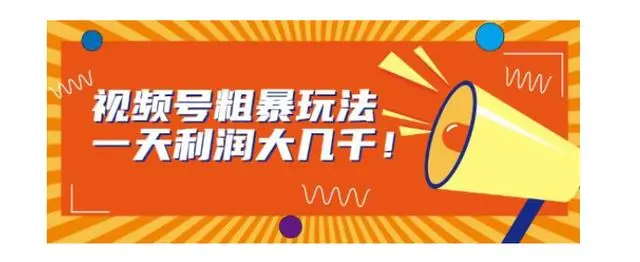 【副业项目7125期】视频号粗暴玩法，一天利润大几千！-蓝图副业