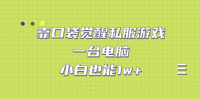 【副业项目7248期】靠口袋觉醒私服游戏，一台电脑，小白也能1w+（教程+工具+资料）-蓝图副业