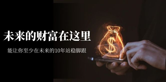 【副业项目7298期】某收费文章《未来的财富在这里》能让你至少在未来的10年站稳脚跟-蓝图副业
