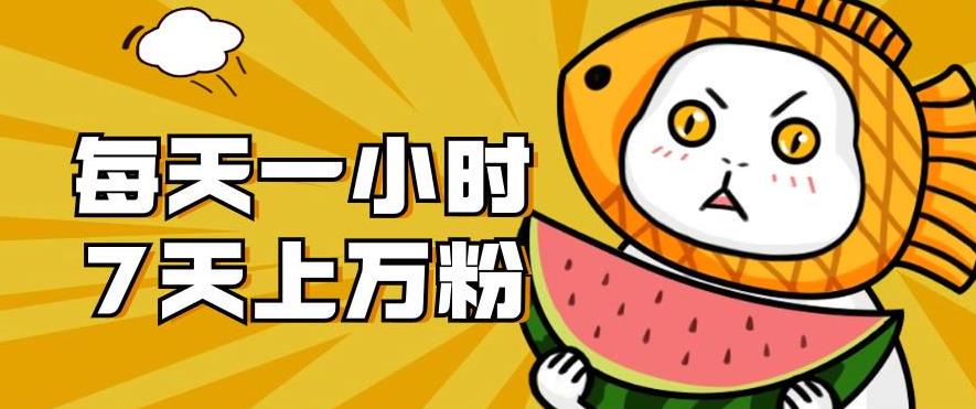 【副业项目7361期】暴力涨粉项目：每天一小时，七天上万粉【揭秘】-蓝图副业