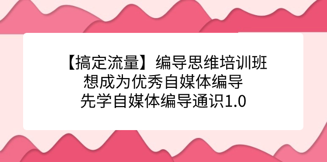 【副业项目7456期】编导思维培训班，想成为优秀自媒体编导先学自媒体编导通识1.0-蓝图副业