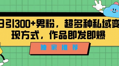 【副业项目7191期】独家推荐！日引300+男粉，超多种私域变现方式-蓝图副业