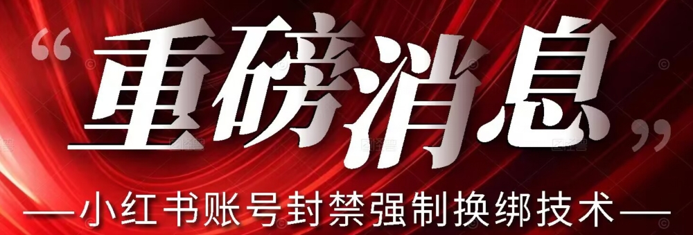 【副业项目7574期】【最新】小红书账号封禁强制换绑技术可日赚300-蓝图副业