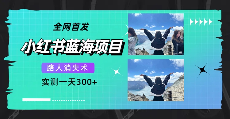 【副业项目7750期】全网首发，小红书蓝海项目，路人消失术，实测一天300+（教程+工具）-蓝图副业