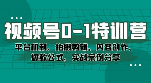 【副业项目7596期】视频号0-1特训营：平台机制、拍摄剪辑、内容创作、爆款公式，实战案例分享-蓝图副业