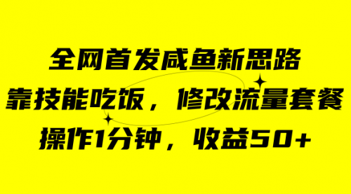 【副业项目7720期】咸鱼冷门新玩法，靠“技能吃饭”，修改流量套餐，操作1分钟，收益50+-蓝图副业