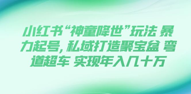 【副业项目7983期】小红书“神童降世”玩法 暴力起号,私域打造聚宝盆-蓝图副业