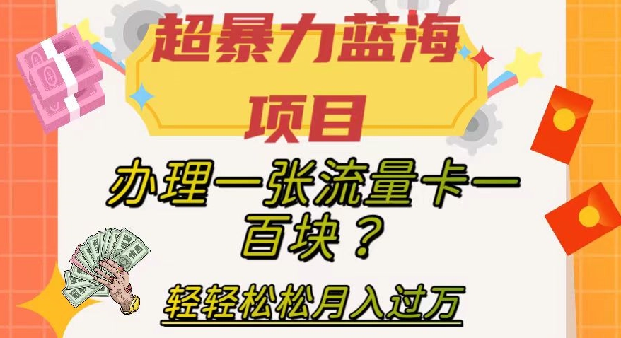【副业项目8024期】超暴力蓝海项目，办理一张流量卡一百块？轻轻松松月入过万，保姆级教程【揭秘】-蓝图副业
