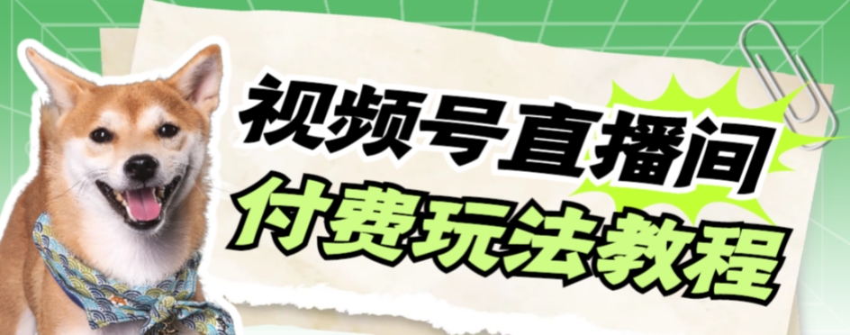 【副业项目7973期】视频号美女付费无人直播，轻松日入500+-蓝图副业
