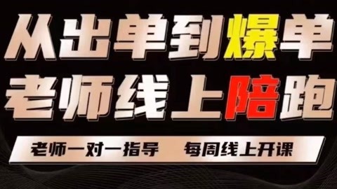 【副业项目8038期】新手小红书+拼多多电商起步到起飞陪跑教程-蓝图副业