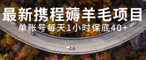 【副业项目8232期】最新携程薅羊毛项目，单账号每天1小时保底收益40+，可矩阵操作-蓝图副业