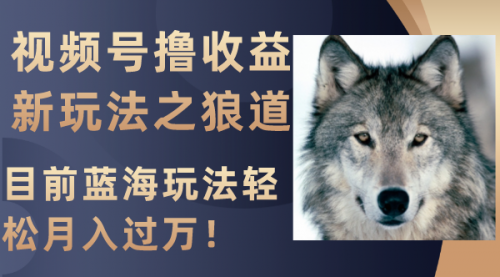 【副业项目8271期】视频号撸收益新玩法之狼道，目前蓝海玩法轻松月入过万！-蓝图副业