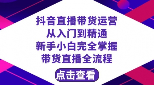【副业项目8483期】抖音直播带货 运营从入门到精通，新手完全掌握带货直播全流程（23节-蓝图副业