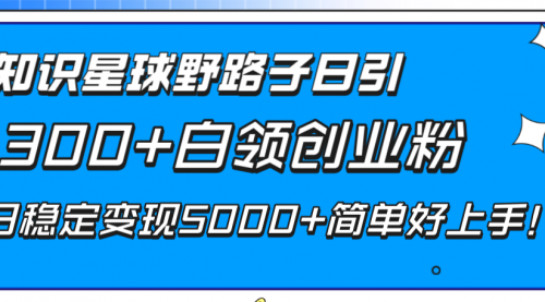 【副业项目8492期】知识星球野路子日引300+白领创业粉-蓝图副业