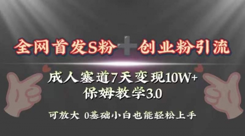 【副业项目8506期】成人用品赛道7天变现10w+保姆教学3.0-蓝图副业