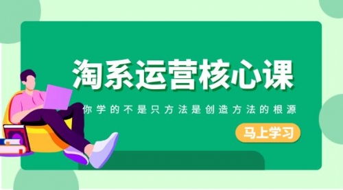 【副业项目8556期】淘系-运营核心课，你学的不是只方法是创造方法的根源-蓝图副业