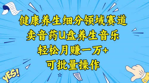 【副业项目8638期】健康养生细分领域赛道，卖音药U盘养生音乐，轻松月赚一万+，可批量操作-蓝图副业