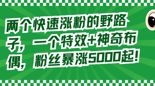 【副业8723期】两个快速涨粉的野路子，一个特效+神奇布偶，粉丝暴涨5000起！-蓝图副业
