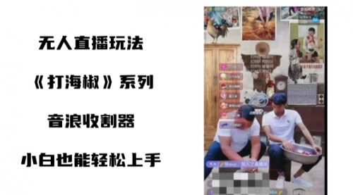 【副业8766期】打海椒无人直播整蛊项目，小白轻松上手撸音浪收割器（教程+工具+素材）-蓝图副业