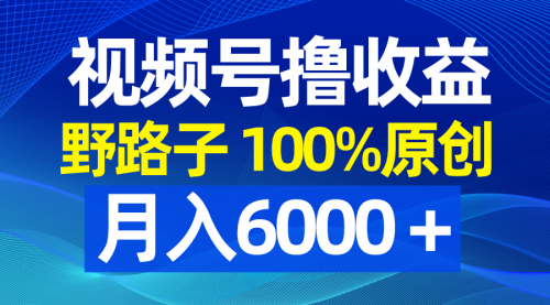 【副业8771期】视频号野路子撸收益，100%原创，条条爆款，月入6000＋-蓝图副业