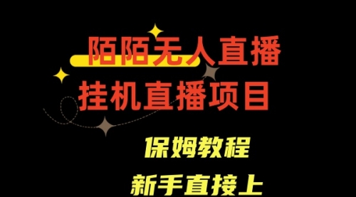 【副业8781期】陌陌无人直播，通道人数少，新手容易上手-蓝图副业