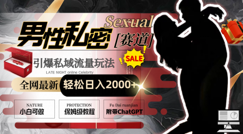 【副业8789期】全网最新男性私密赛道玩法，引爆私域流量，轻松日入2000+-蓝图副业