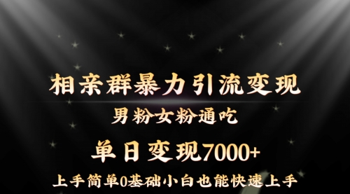 【副业8845期】相亲群暴力引流男粉女粉通吃变现玩法，单日变现7000+保姆教学1.0-蓝图副业