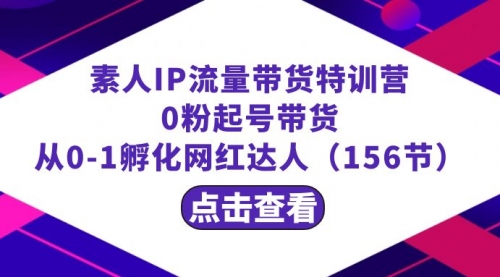【副业8847期】繁星·计划素人IP流量带货特训营：0粉起号带货 从0-1孵化网红达人（156节）-蓝图副业