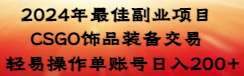 【副业8982期】2024年最佳副业项目 CSGO饰品装备交易 轻易操作单账号日入200+-蓝图副业