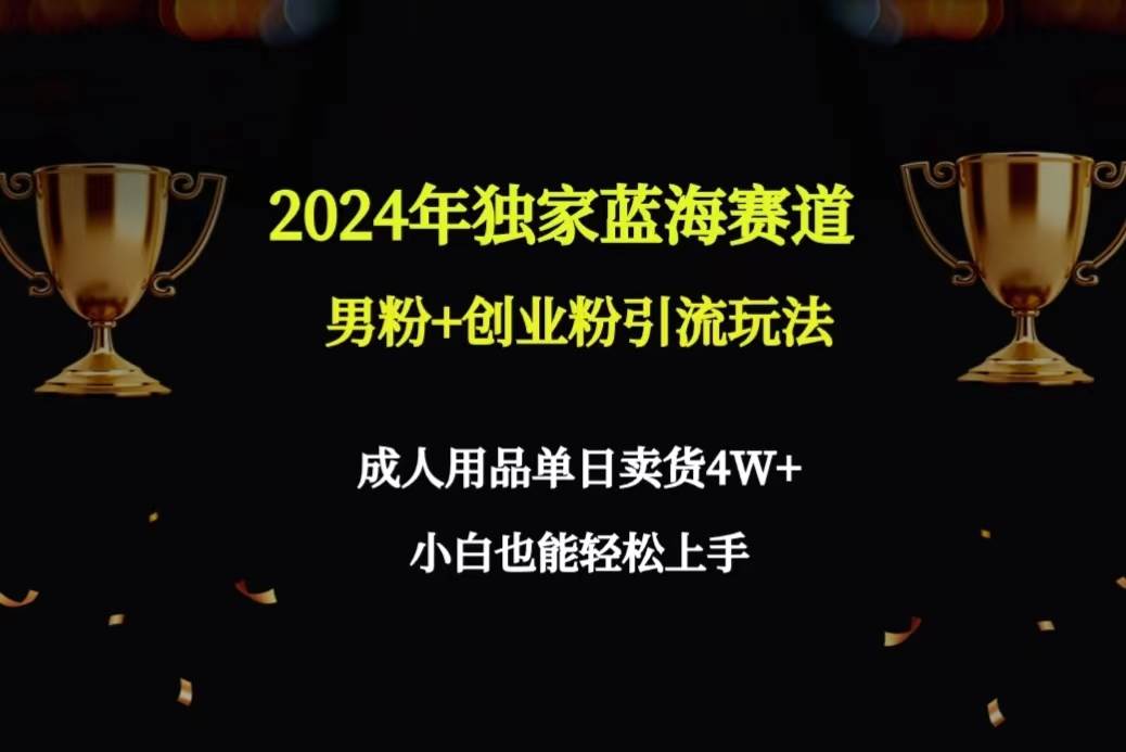 2024年独家蓝海赛道男粉+创业粉引流玩法，成人用品单日卖货4W+保姆教程-蓝图副业