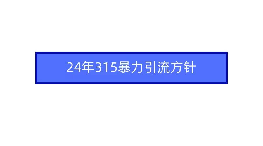 2024年315暴力引流方针-蓝图副业
